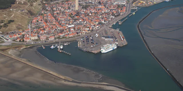 Zeehonden